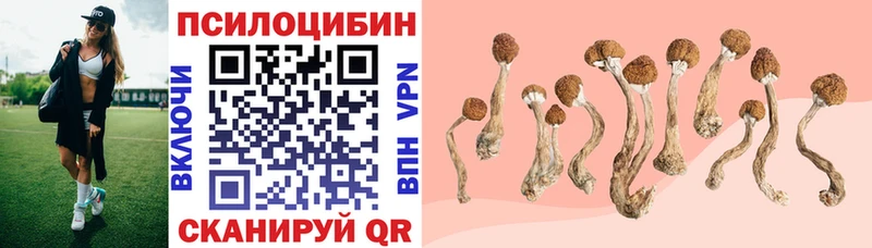 Галлюциногенные грибы MAGIC MUSHROOMS  что такое наркотик  Ильский 